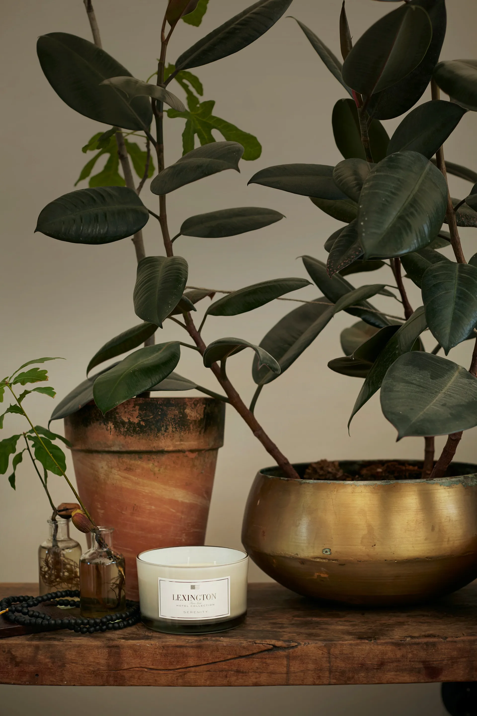 Hotel Serenity duftlys 3 veker, 30 timer Lexington