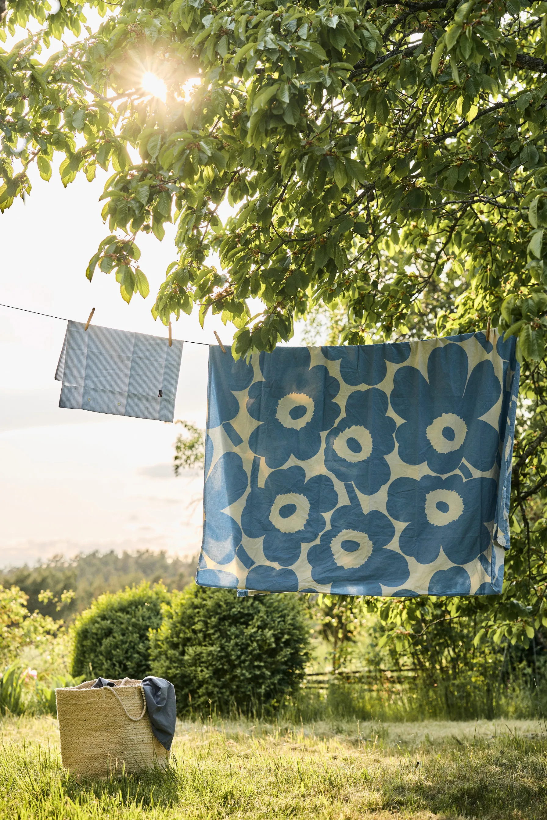 Icons Pin Point putetrekk 50x60 cm, Blue-white Lexington