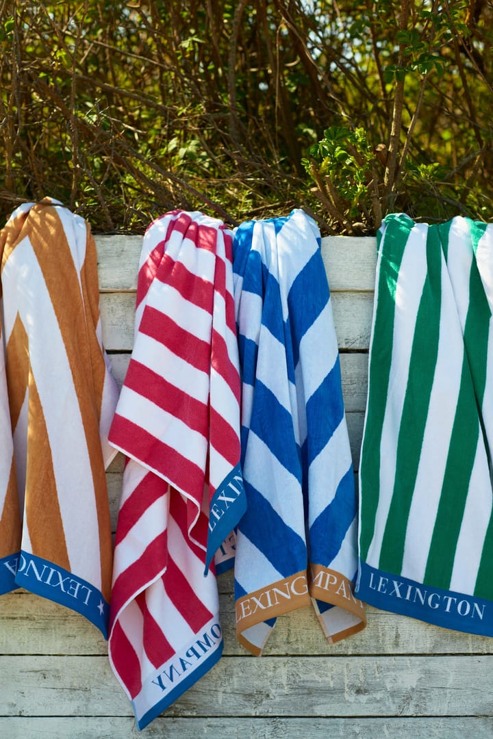 Striped Cotton Terry strandhåndkle 100 x 180 cm, Blå-hvit-grønn Lexington