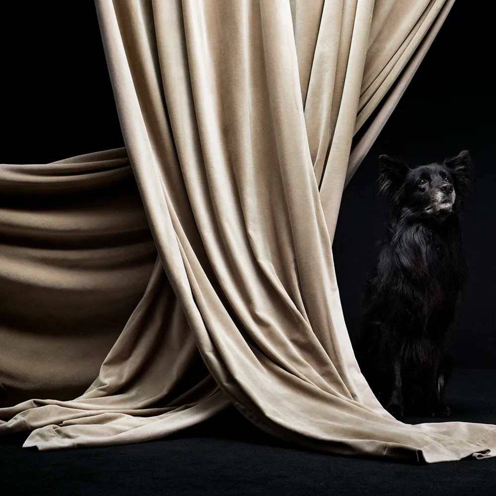 Paolo gardin med rynkebånd, Gräddig beige Linum