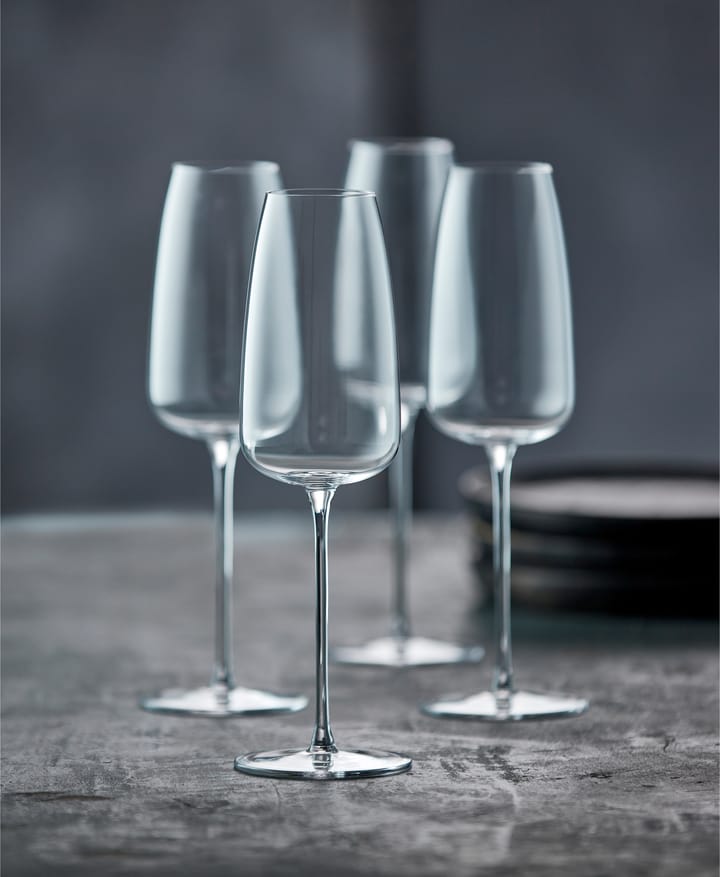 Veneto champagneglass 36 cl 2-pakning, Clear Lyngby Glas