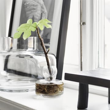 Urna vase 21 cm - glass - Marimekko