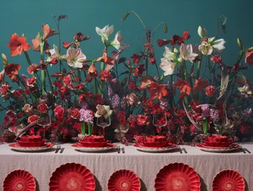 Oyster bolle Ø13 cm - Rød - Mateus