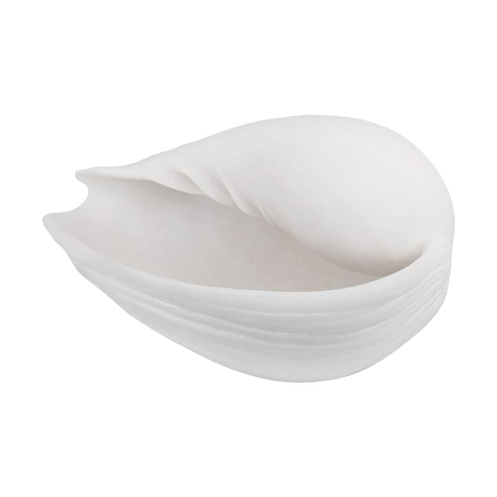 Conch dekorasjon skjell - Small - Mette Ditmer