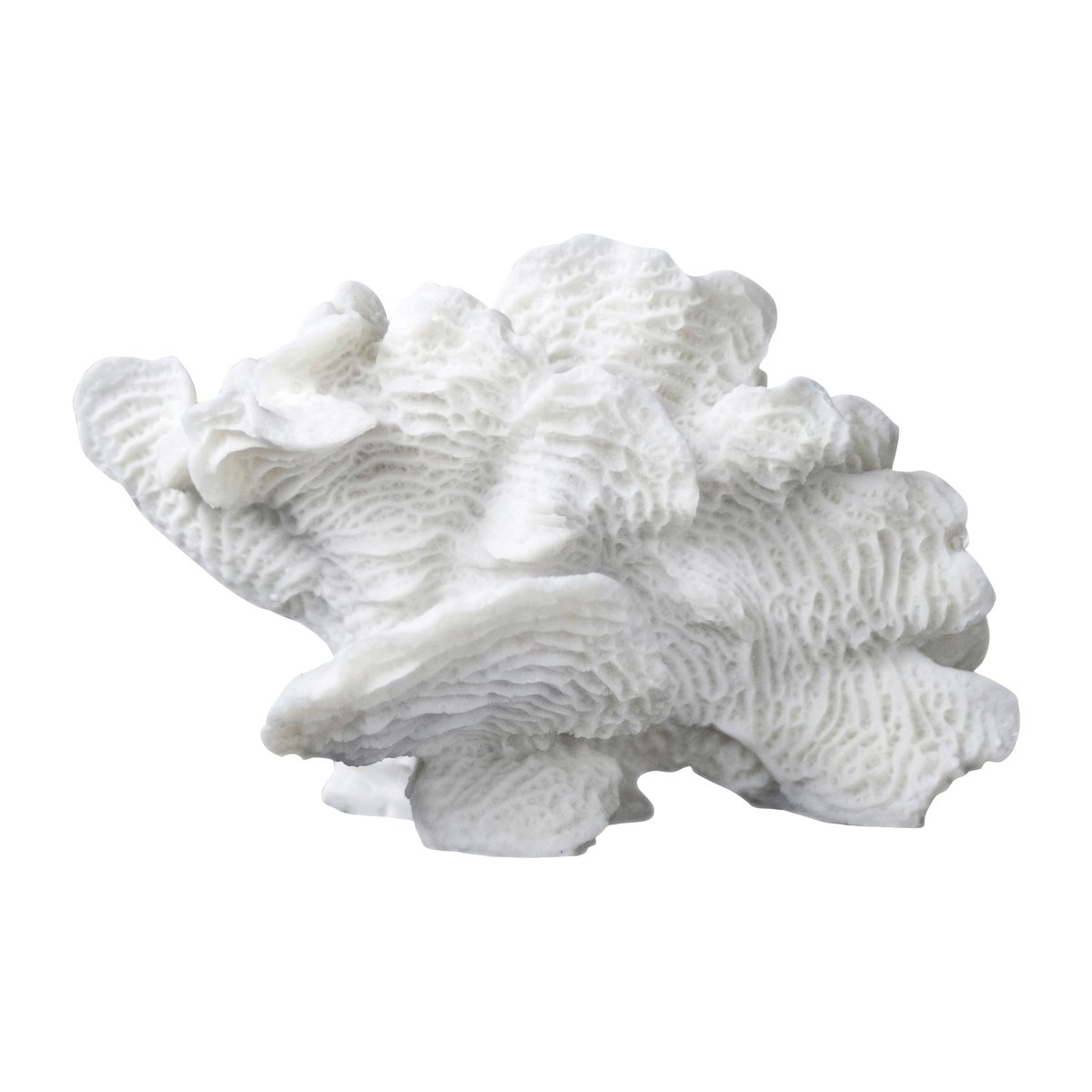 Mette Ditmer Coral fan White | Skandinavisk Design | Skulpturer & Porselensfigurer | Hvit