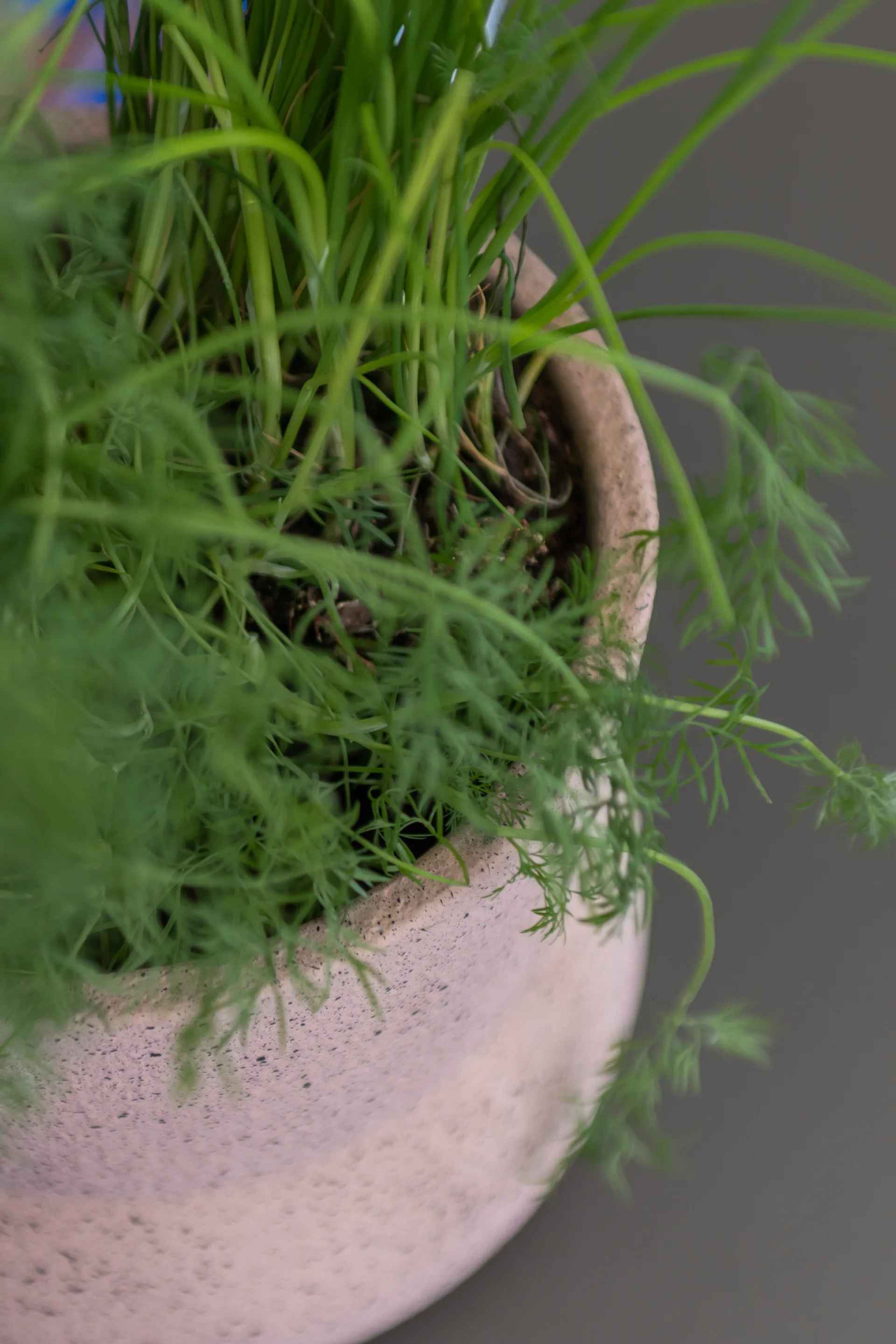 Stone blomsterpotte Ø 17 cm, Blush Mette Ditmer