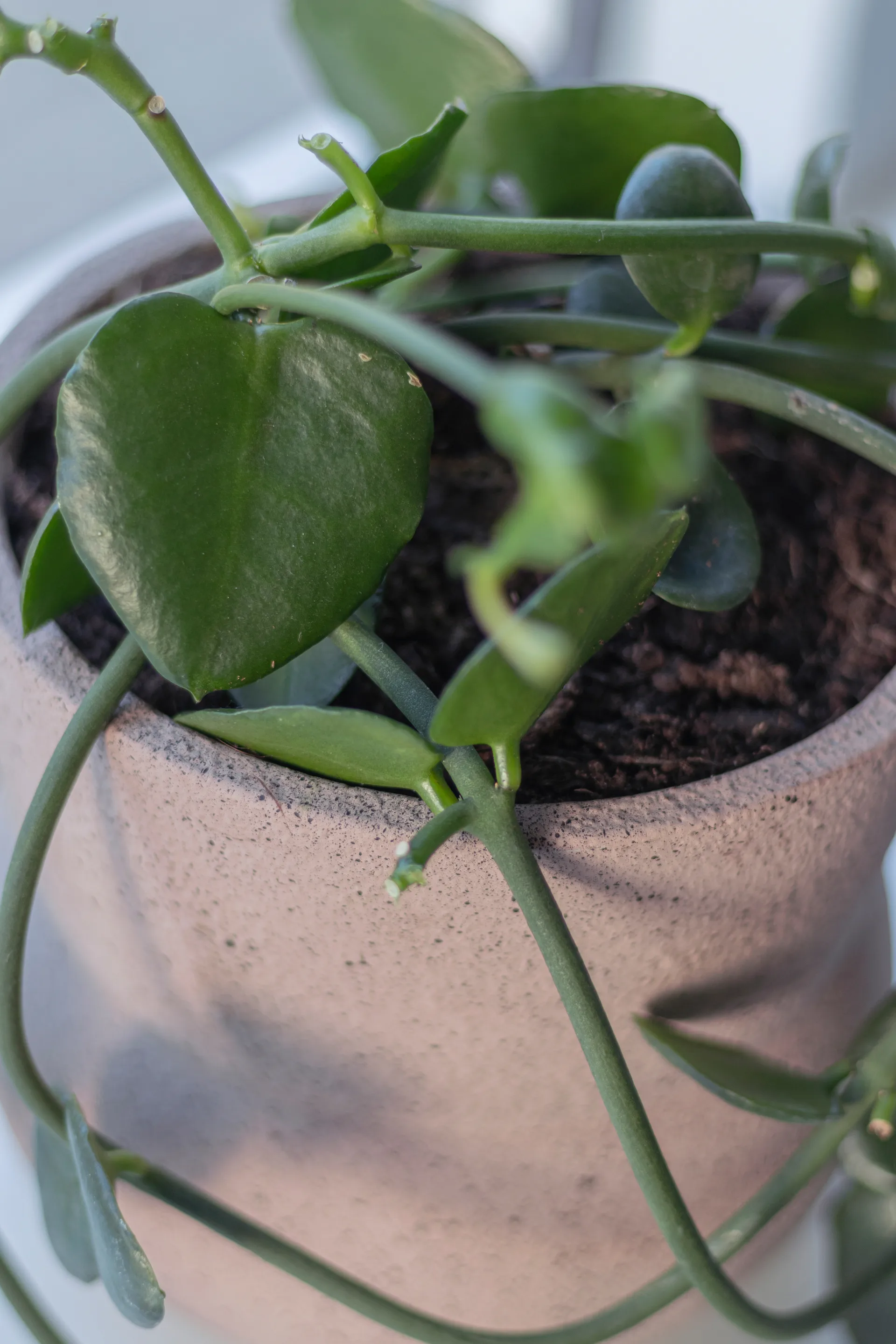 Stone blomsterpotte Ø 17 cm, Blush Mette Ditmer