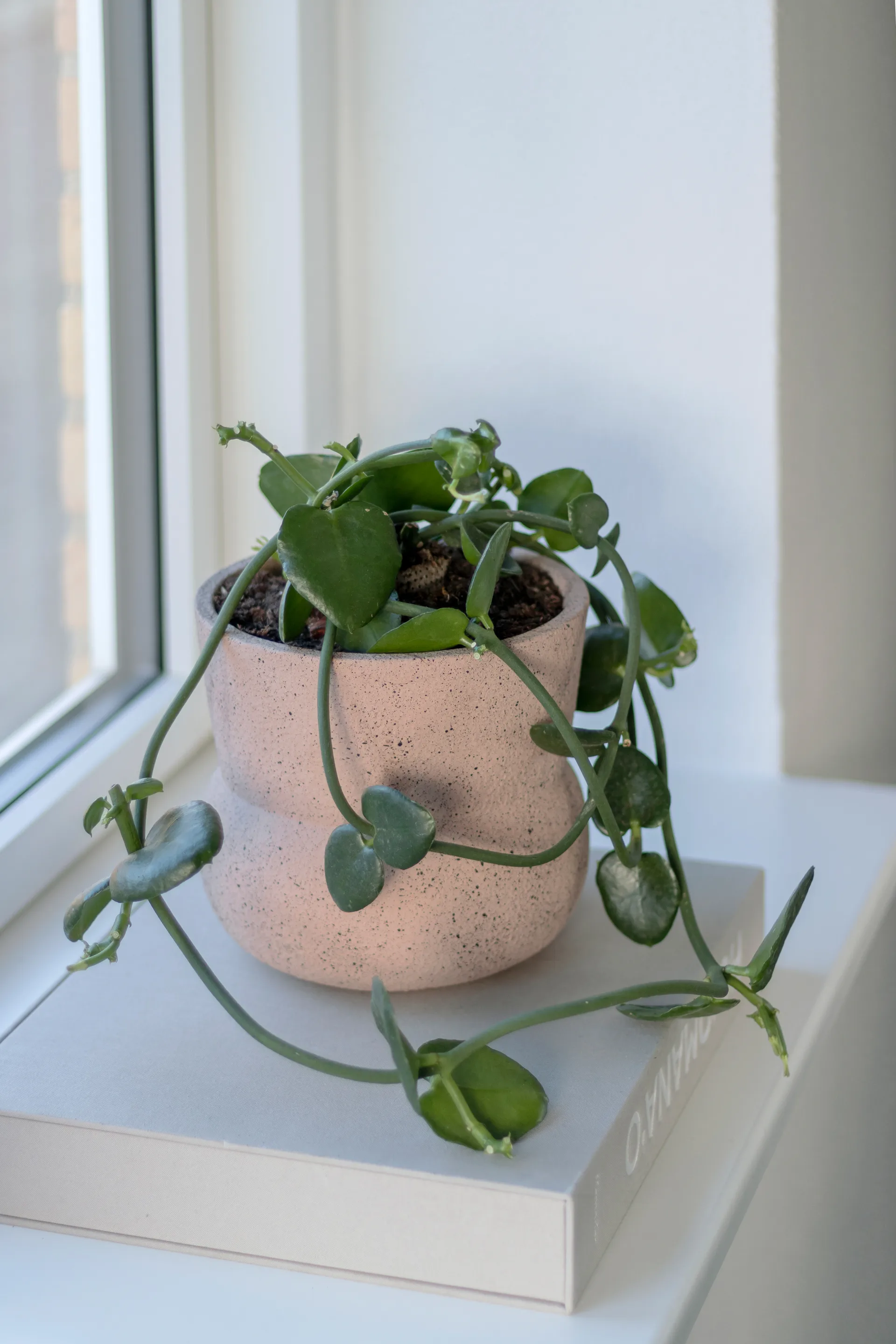 Stone blomsterpotte Ø 17 cm, Blush Mette Ditmer