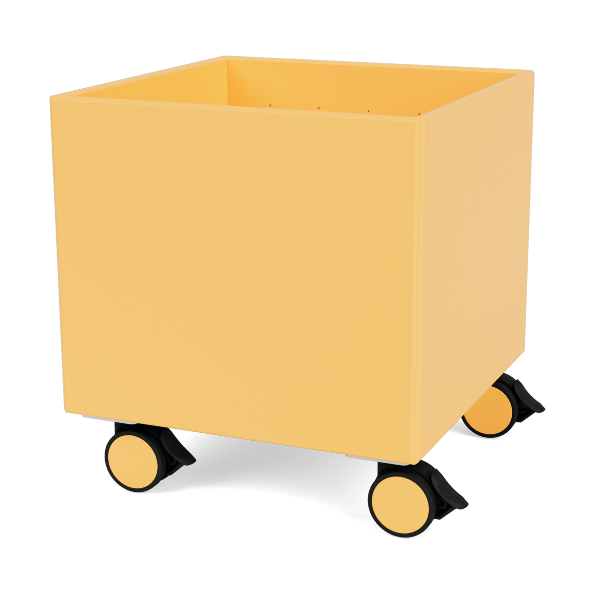 Montana Colour Box I - S6161 Acacia