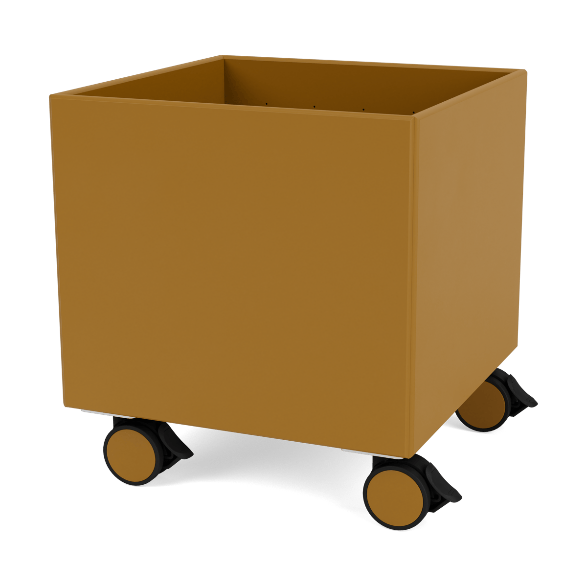 Montana Colour Box I - S6161 Amber