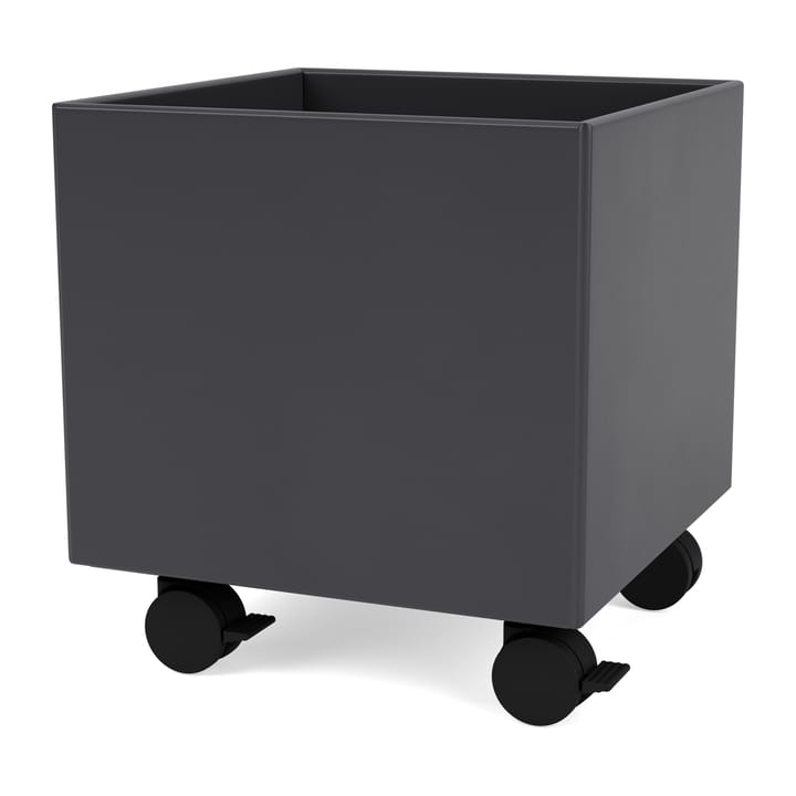 Colour Box I - S6161 - Anthracite - Montana