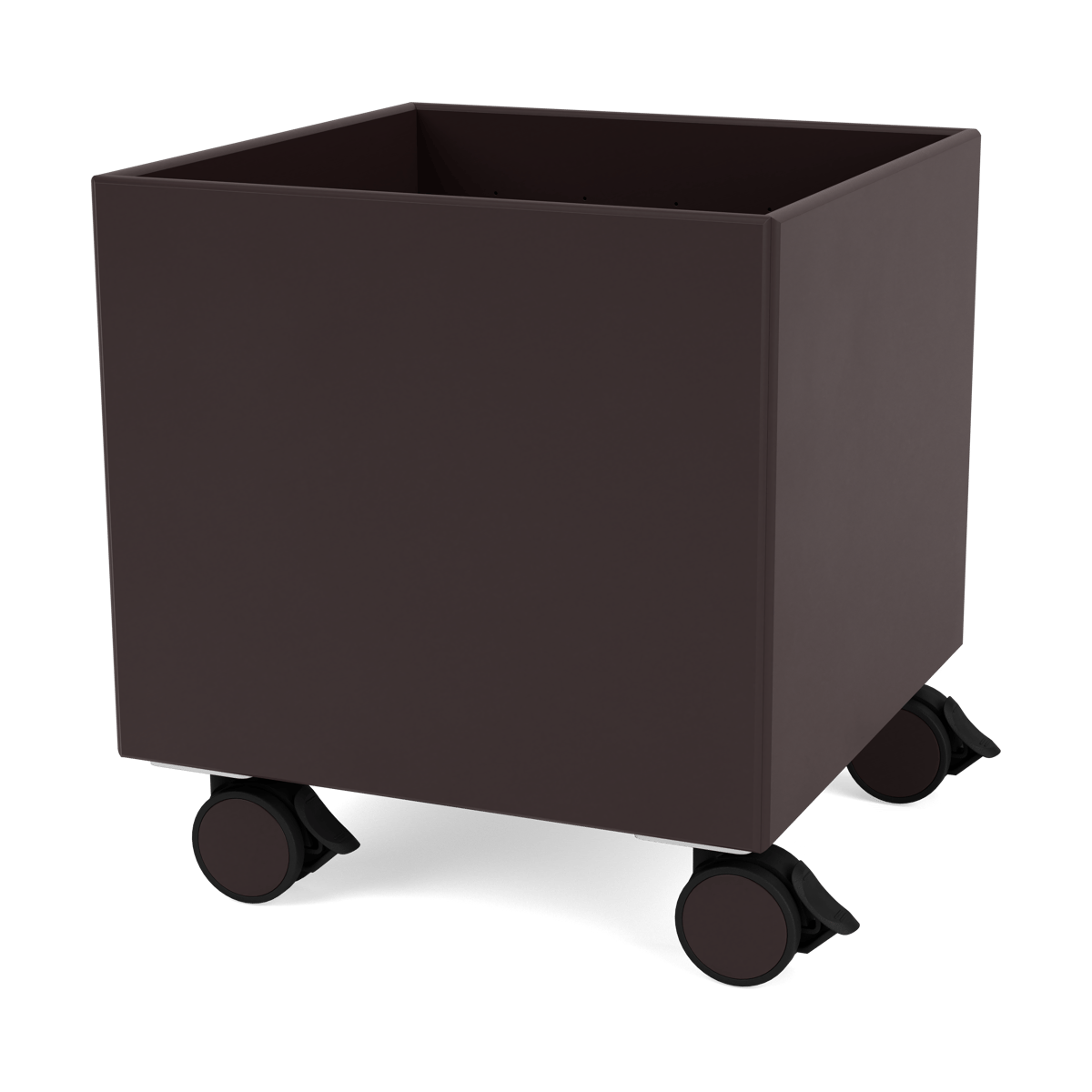 Montana Colour Box I - S6161 Balsamic