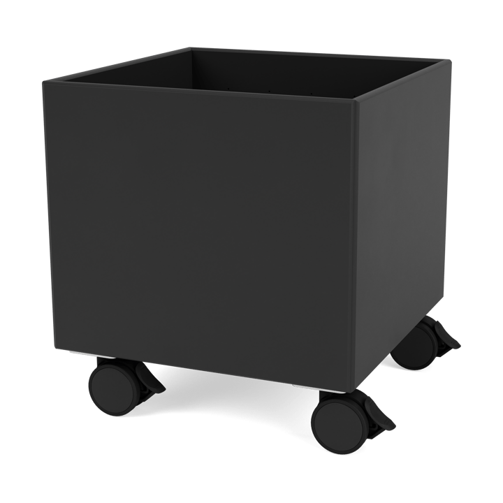 Colour Box I - S6161 - Black - Montana
