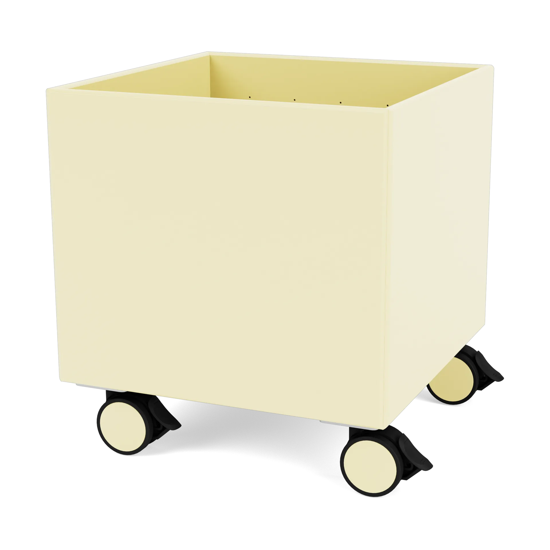 Colour Box I - S6161, Camomile Montana