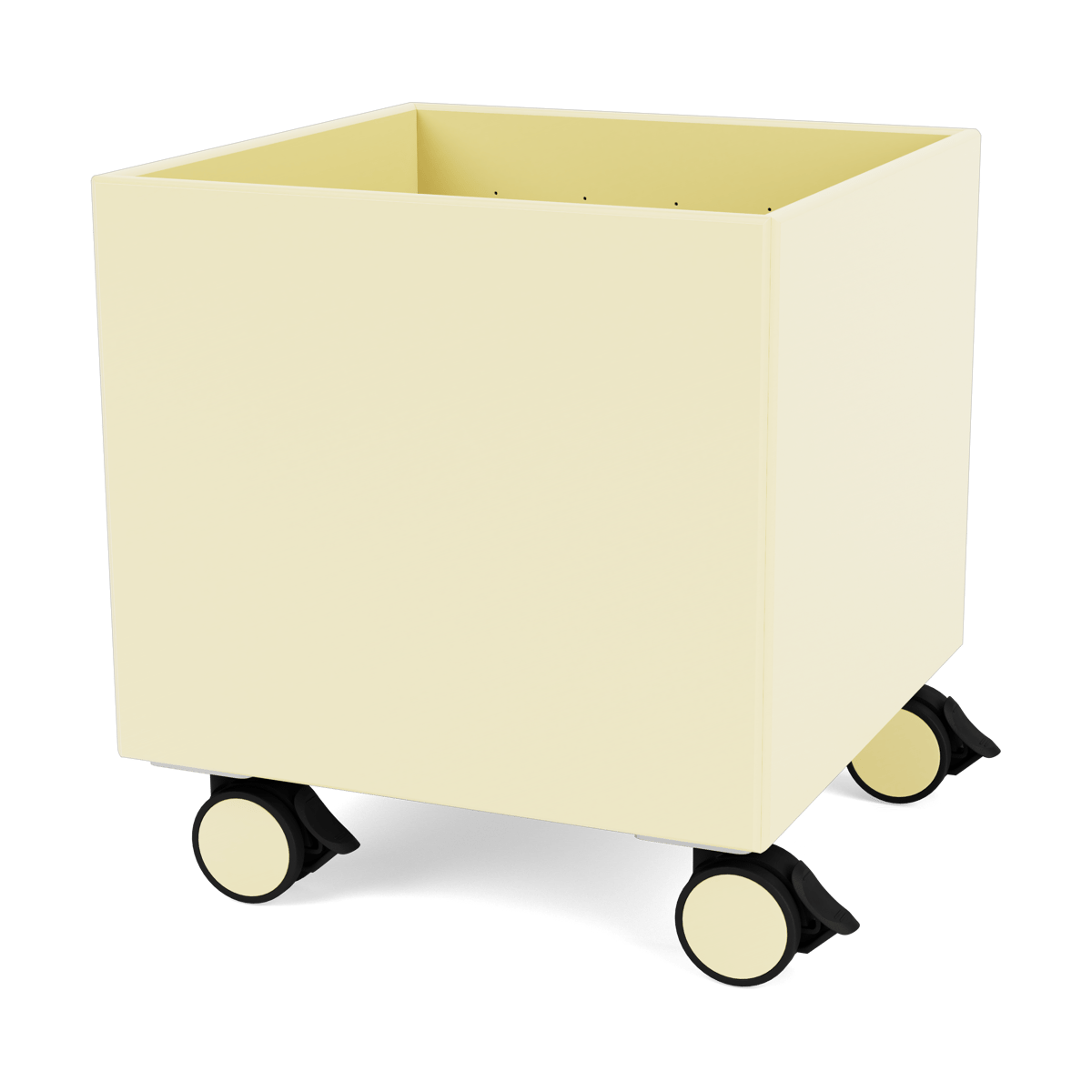 Montana Colour Box I - S6161 Camomile