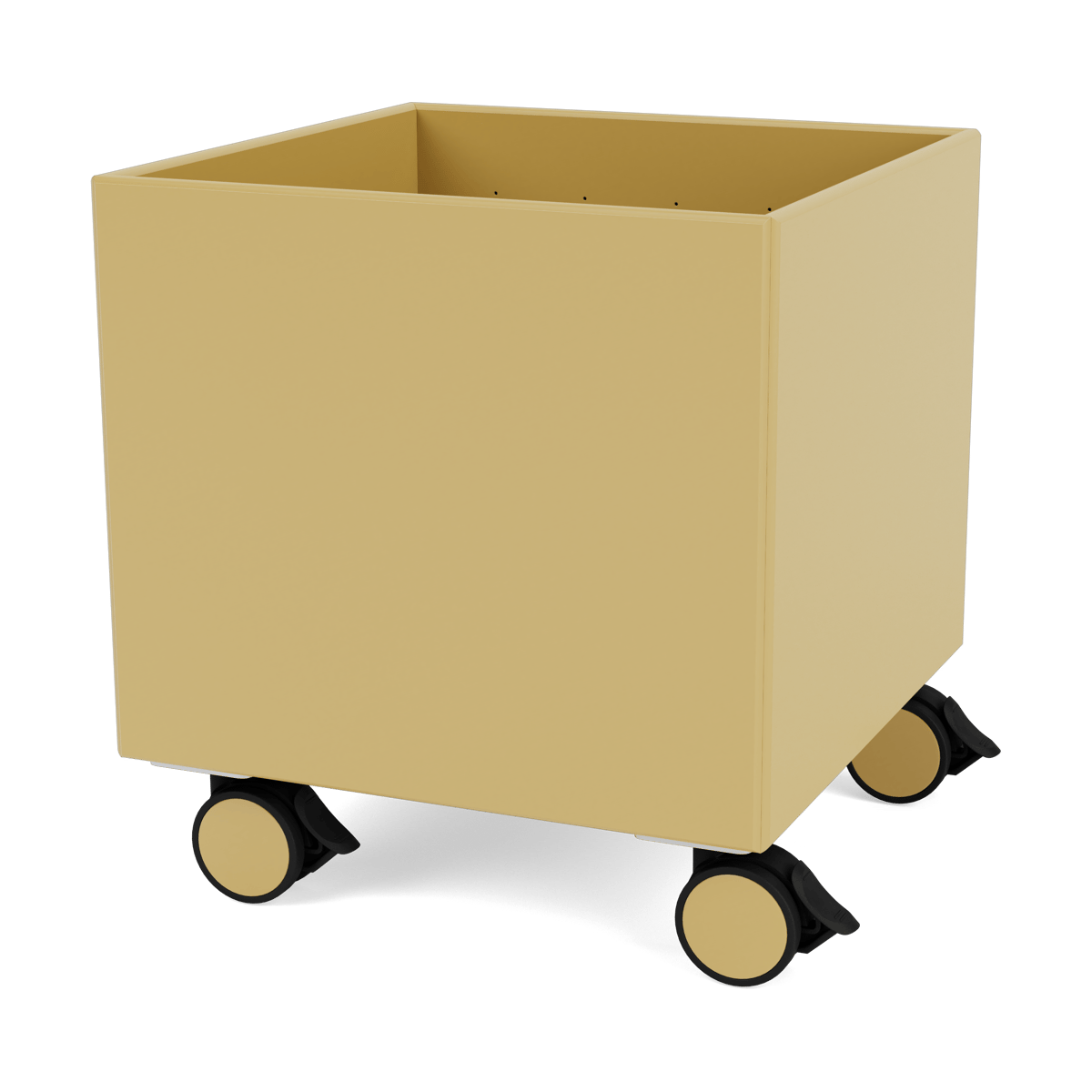 Montana Colour Box I - S6161 Cumin