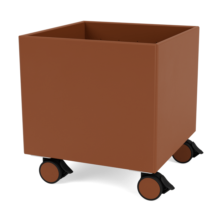 Colour Box I - S6161 - Hazelnut - Montana