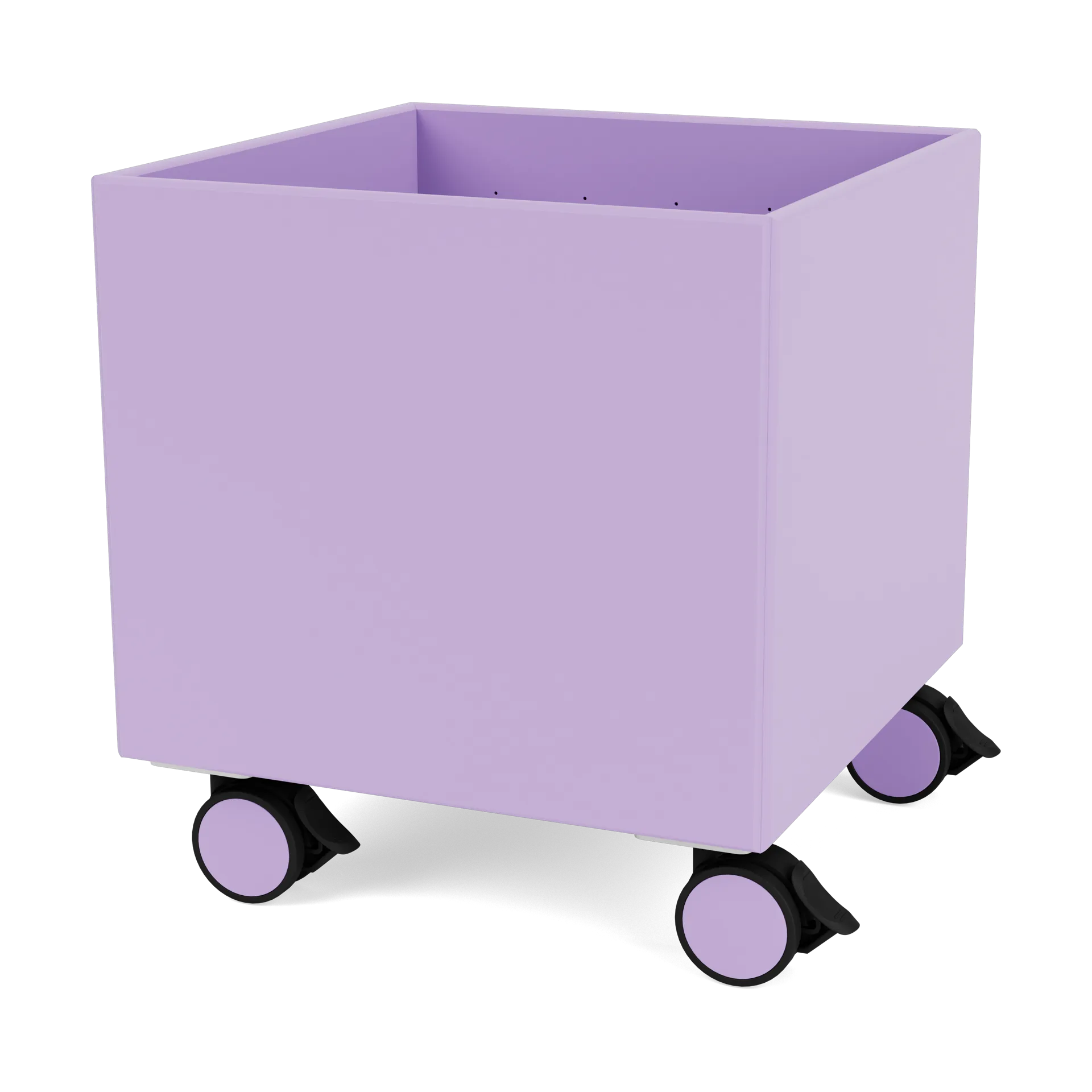 Colour Box I - S6161, Iris Montana