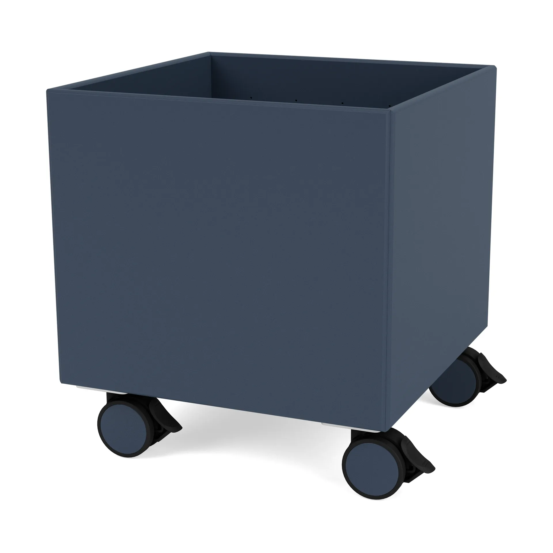 Colour Box I - S6161, Juniper Montana