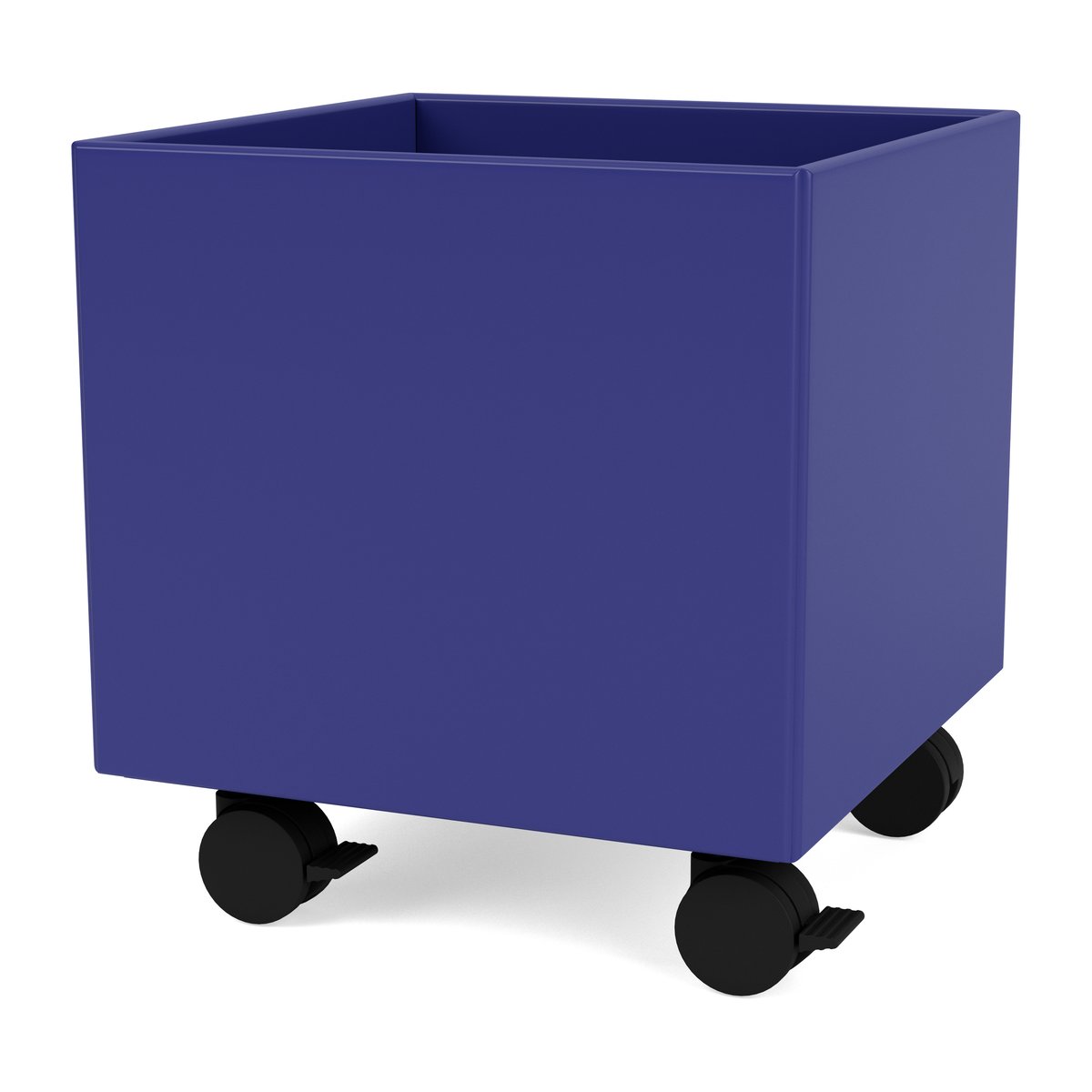 Montana Colour Box I - S6161 Monarch