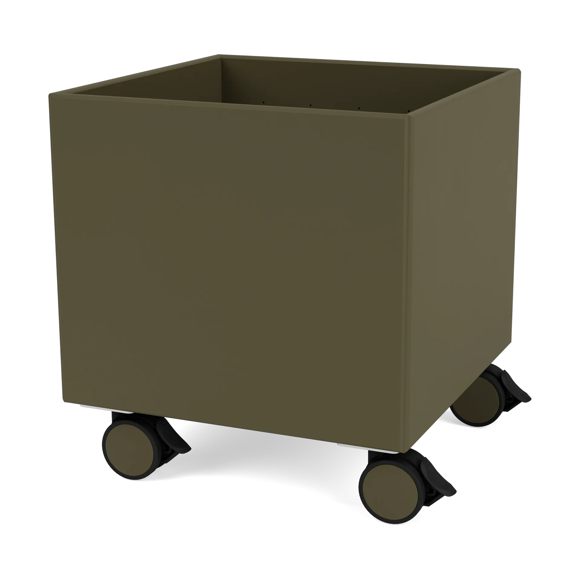 Colour Box I - S6161, Oregano Montana