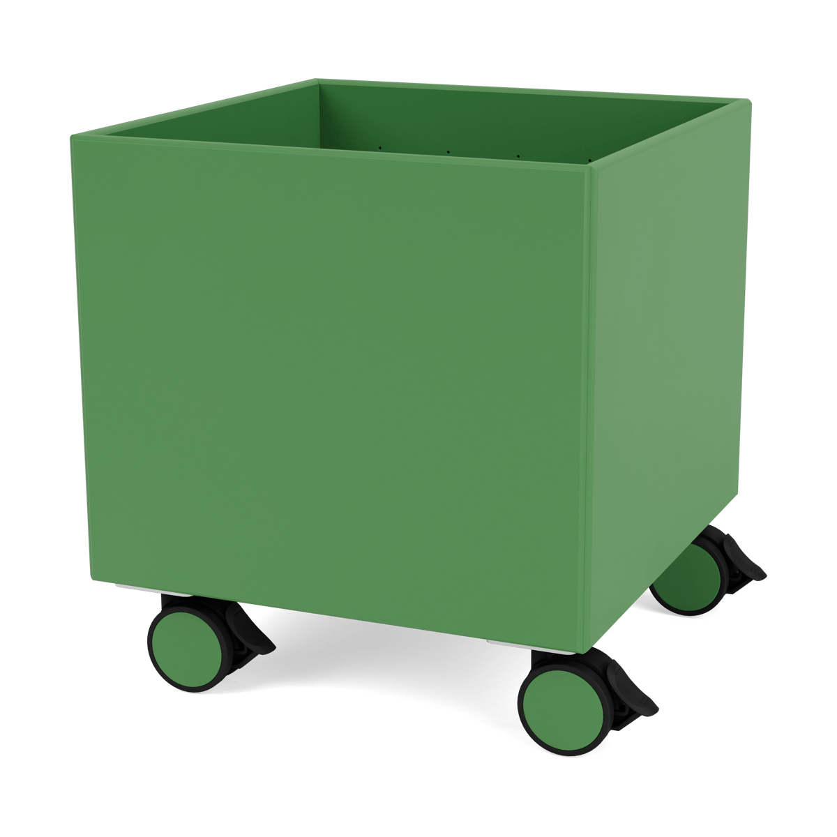 Montana Colour Box I - S6161 Parsley