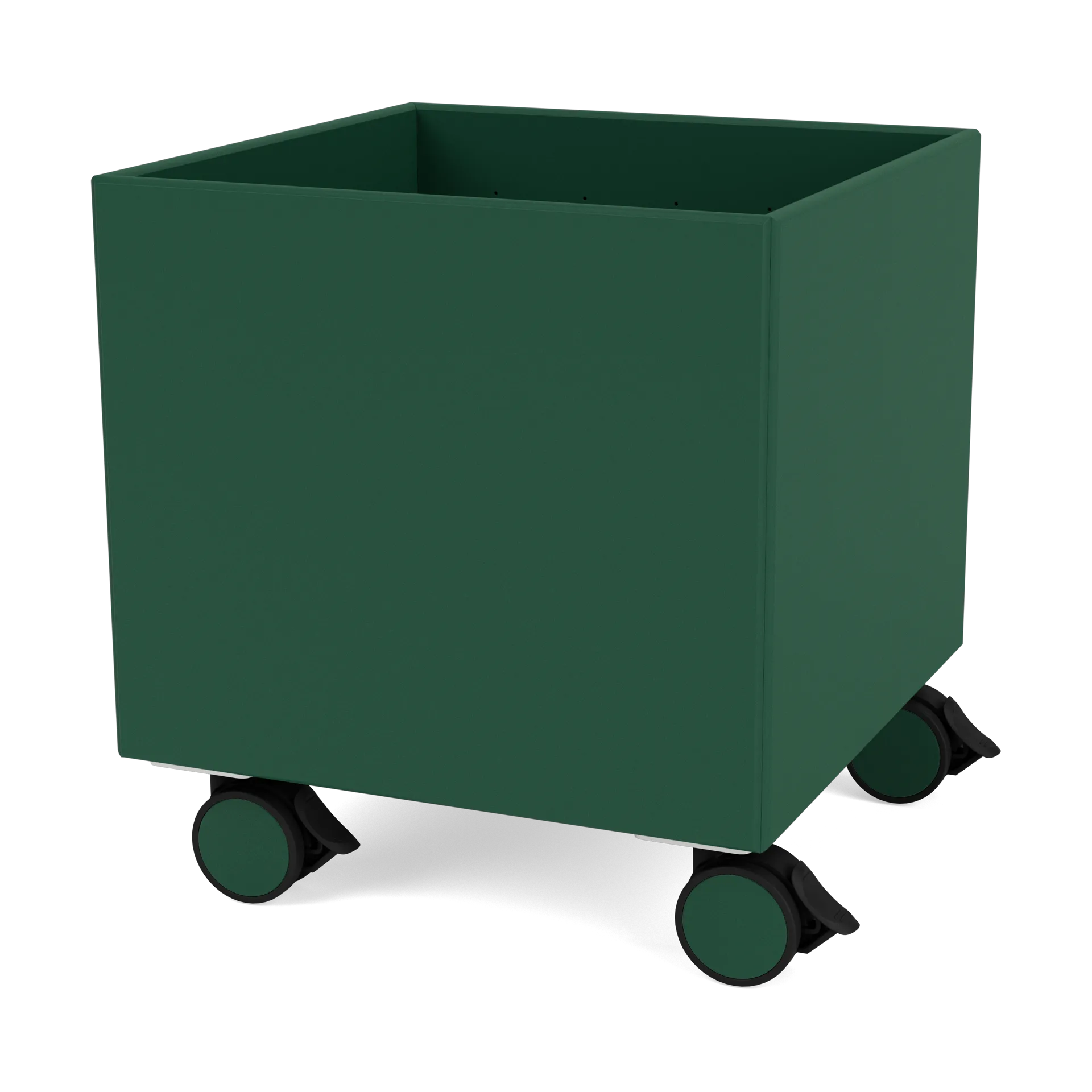 Colour Box I - S6161, Pine Montana