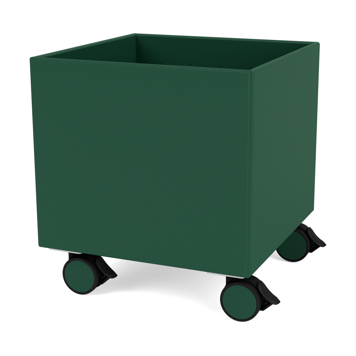 Montana Colour Box I - S6161 Pine