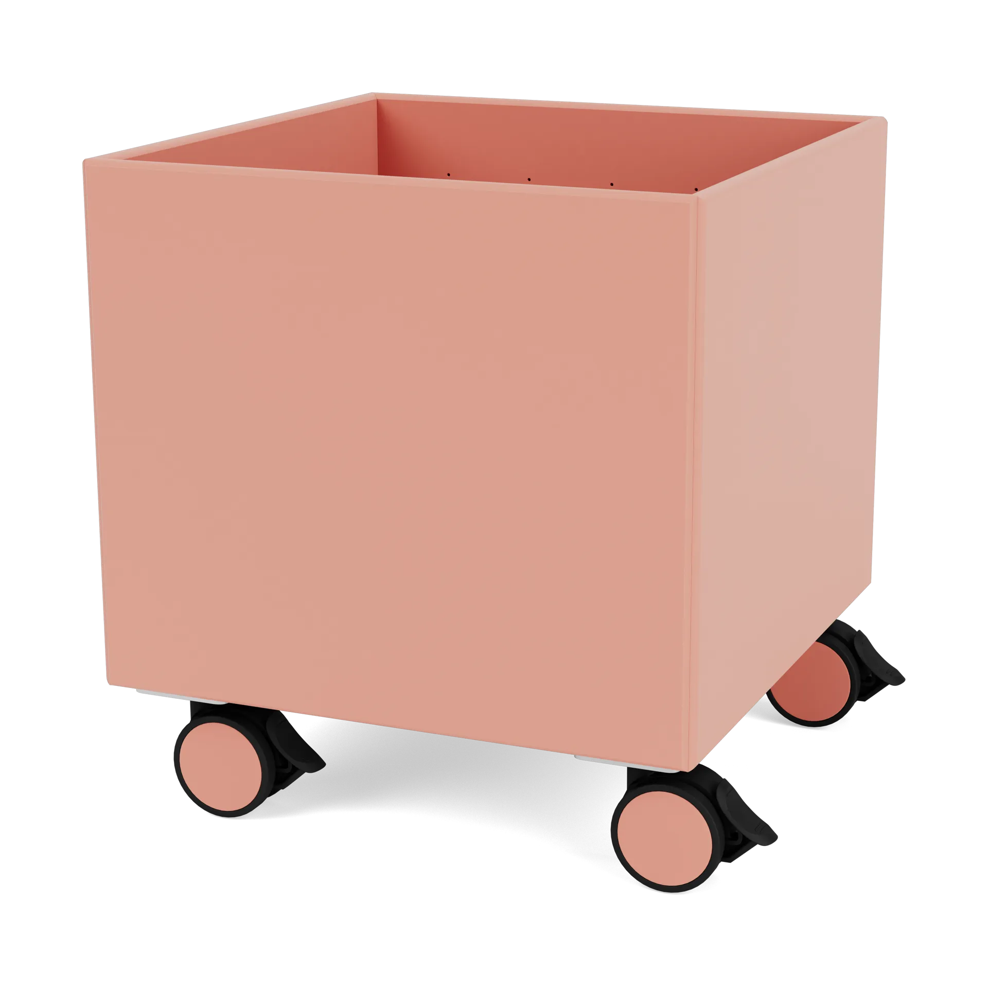 Colour Box I - S6161, Rhubarb Montana