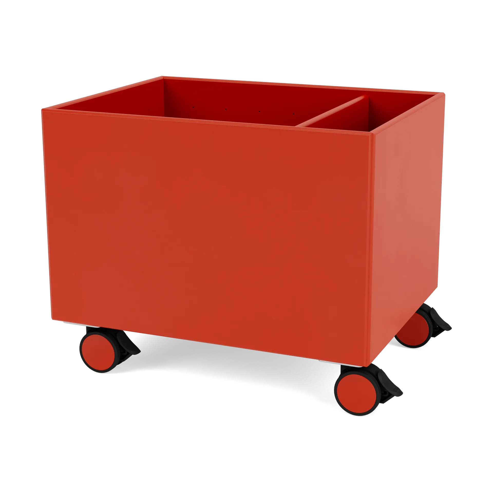 Colour Box II, Rosehip Montana