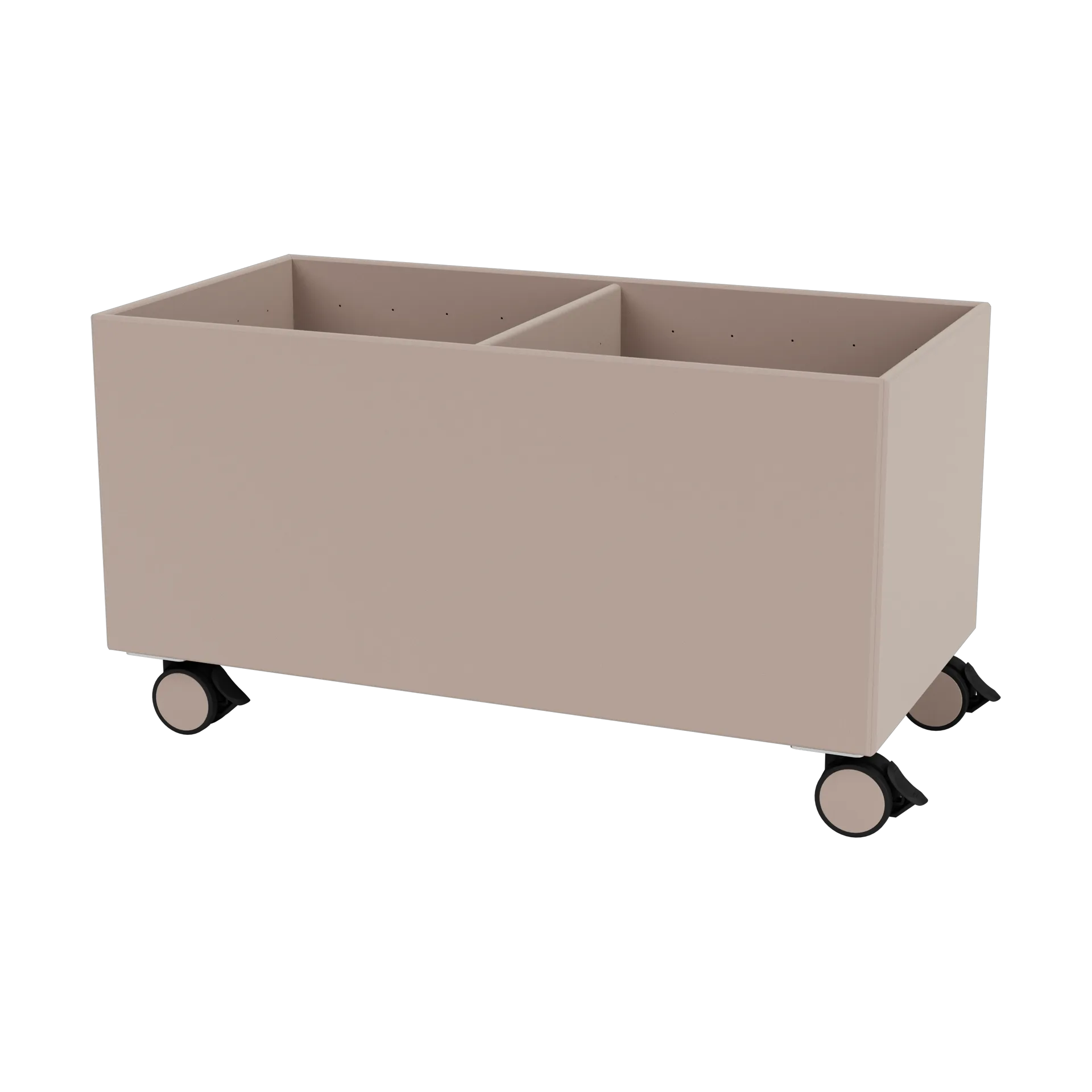 Colour Box III, Mushroom Montana