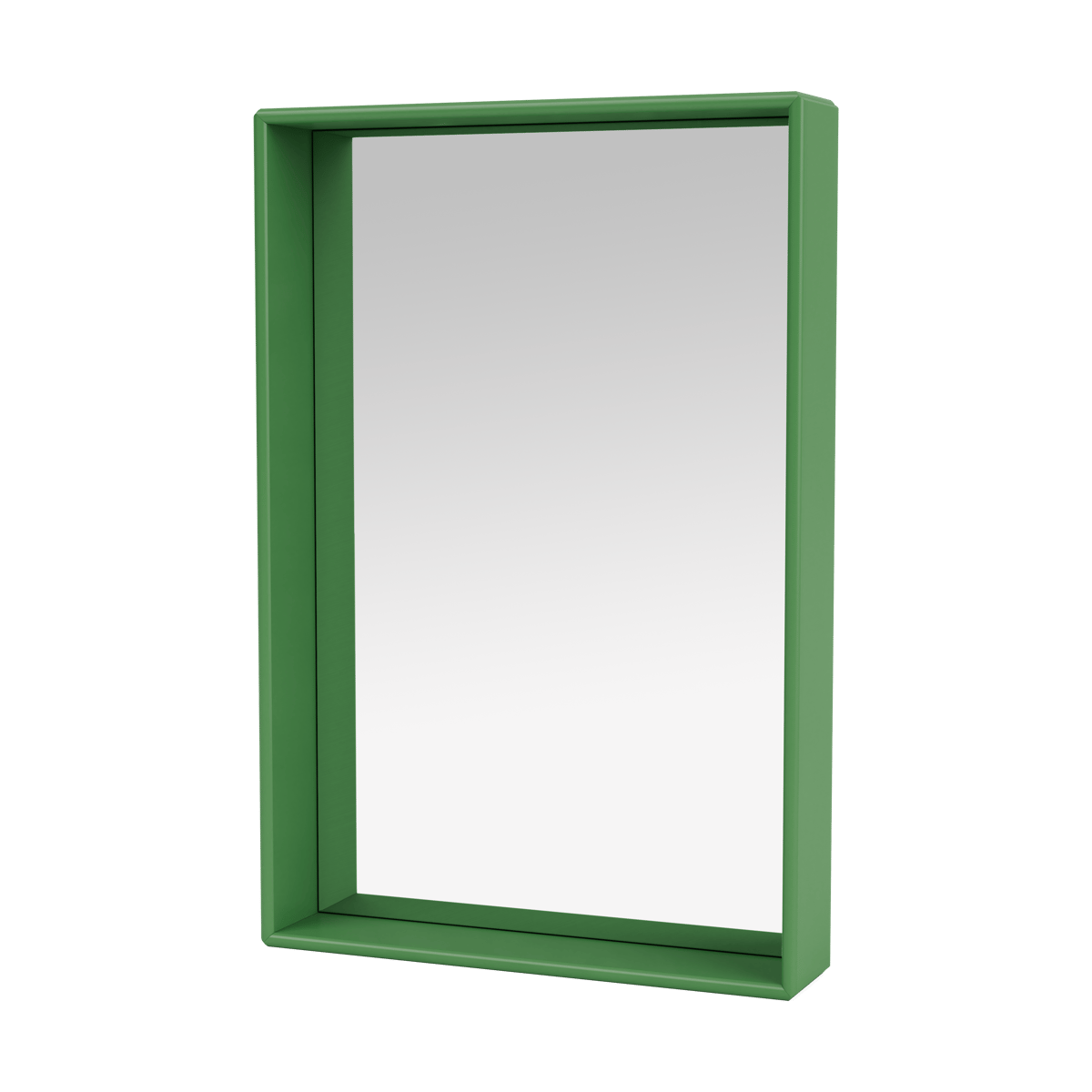 Shelfie colour frame speil 46,8x69,6 cm Parsley