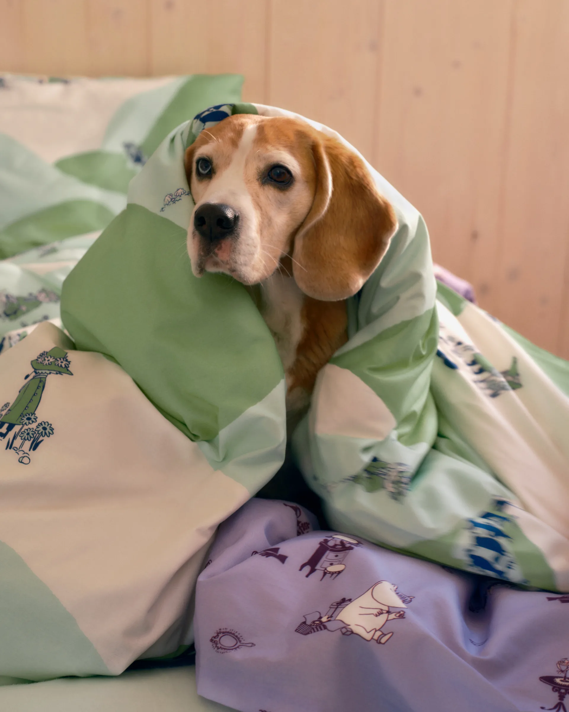 Mummitrollet sengesett 150 x 210 cm, Snusmumrikken Moomin Arabia