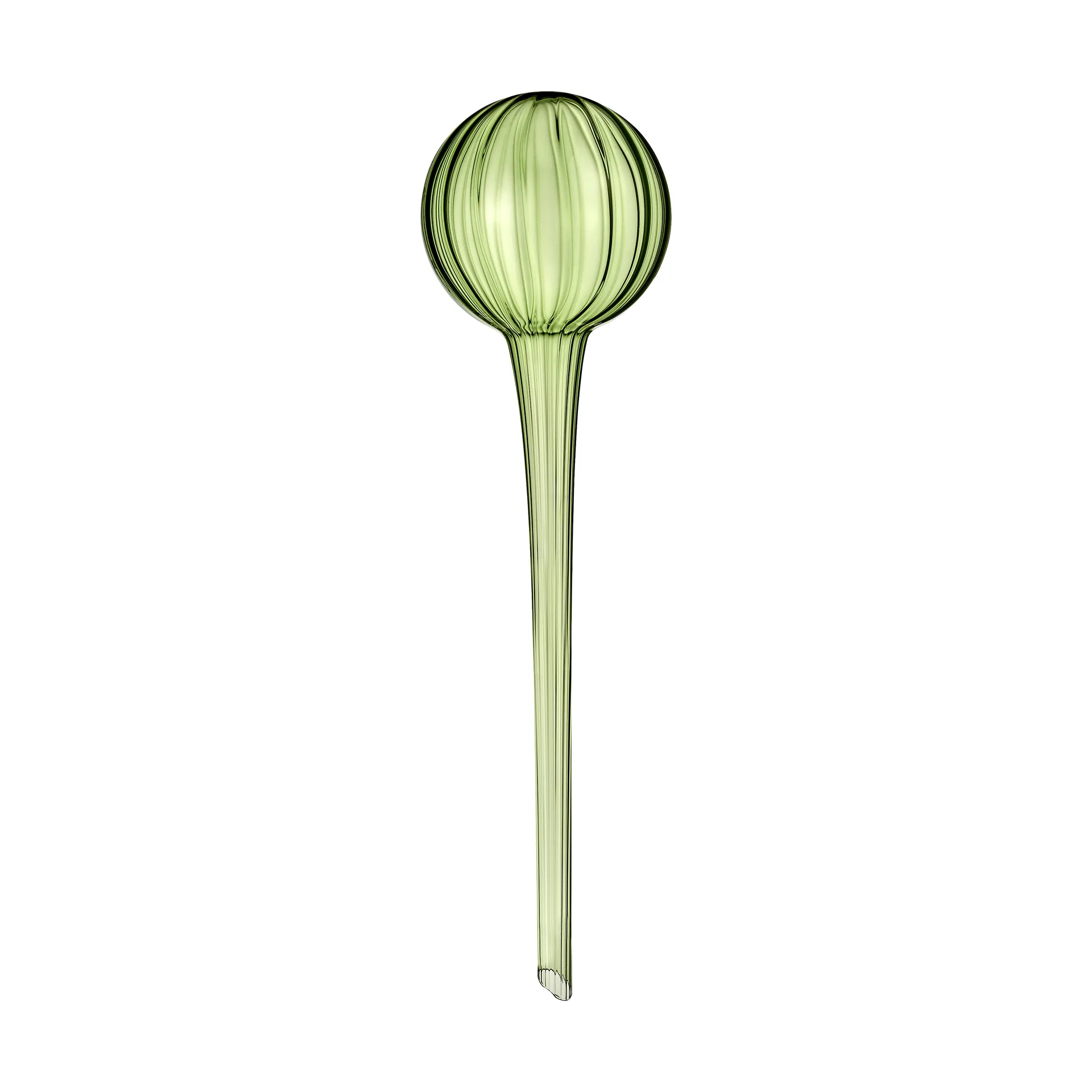 Muurla selvvanner 28 cm, Grønn Muurla