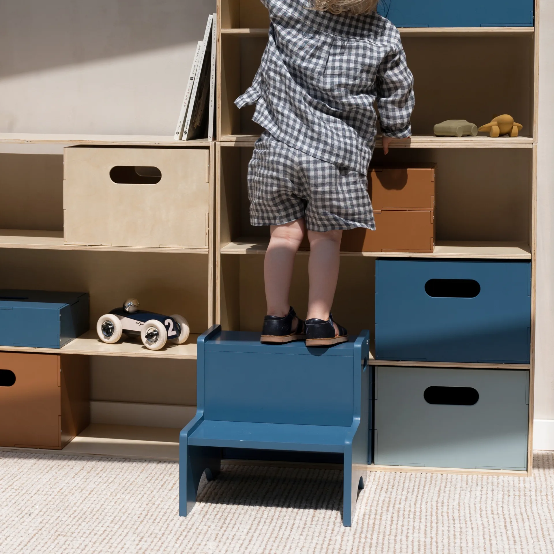 Step Up barnekrakk, Blå Nofred