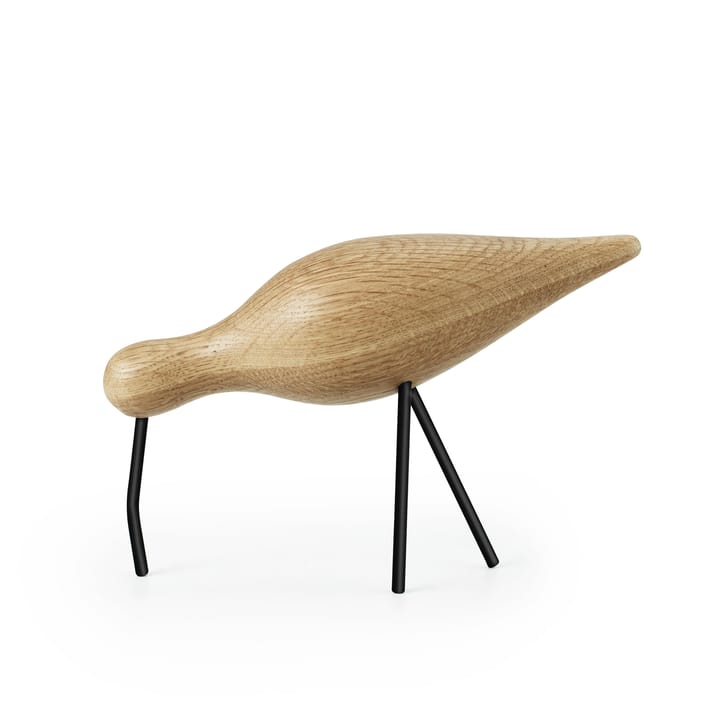 Shorebird eik-svart, stor Normann Copenhagen