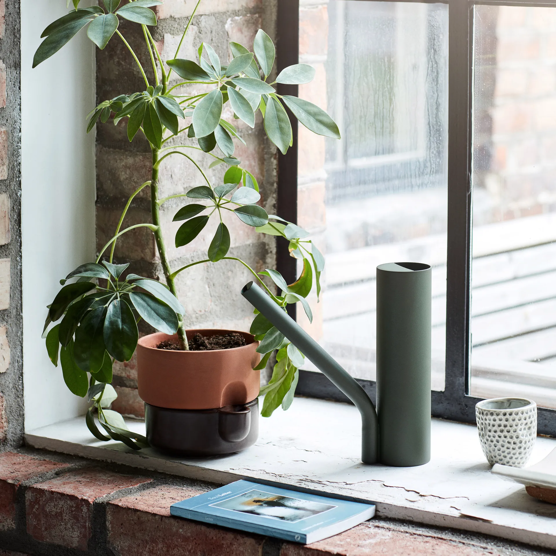 Grab vannkanne, Grønn Northern