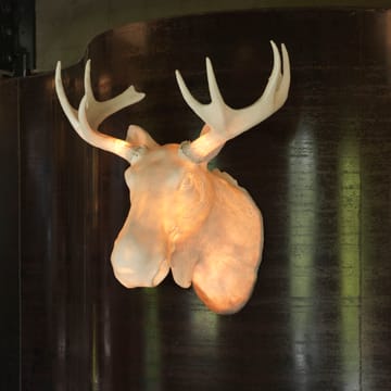 Moo vegglampe - Hvit - Northern