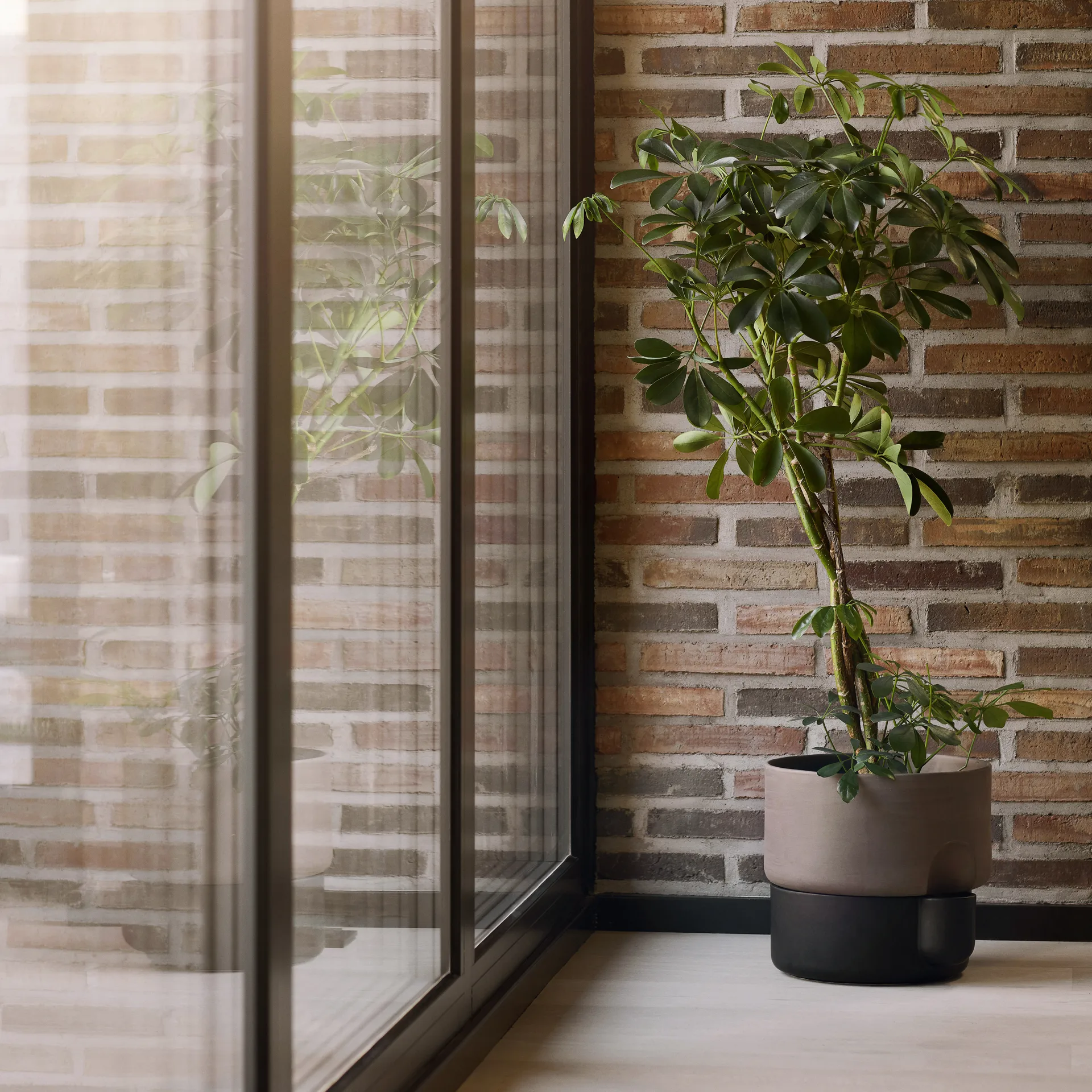 Oasis selvvannende krukke stor Ø27.5 cm, Mørkebrun Northern