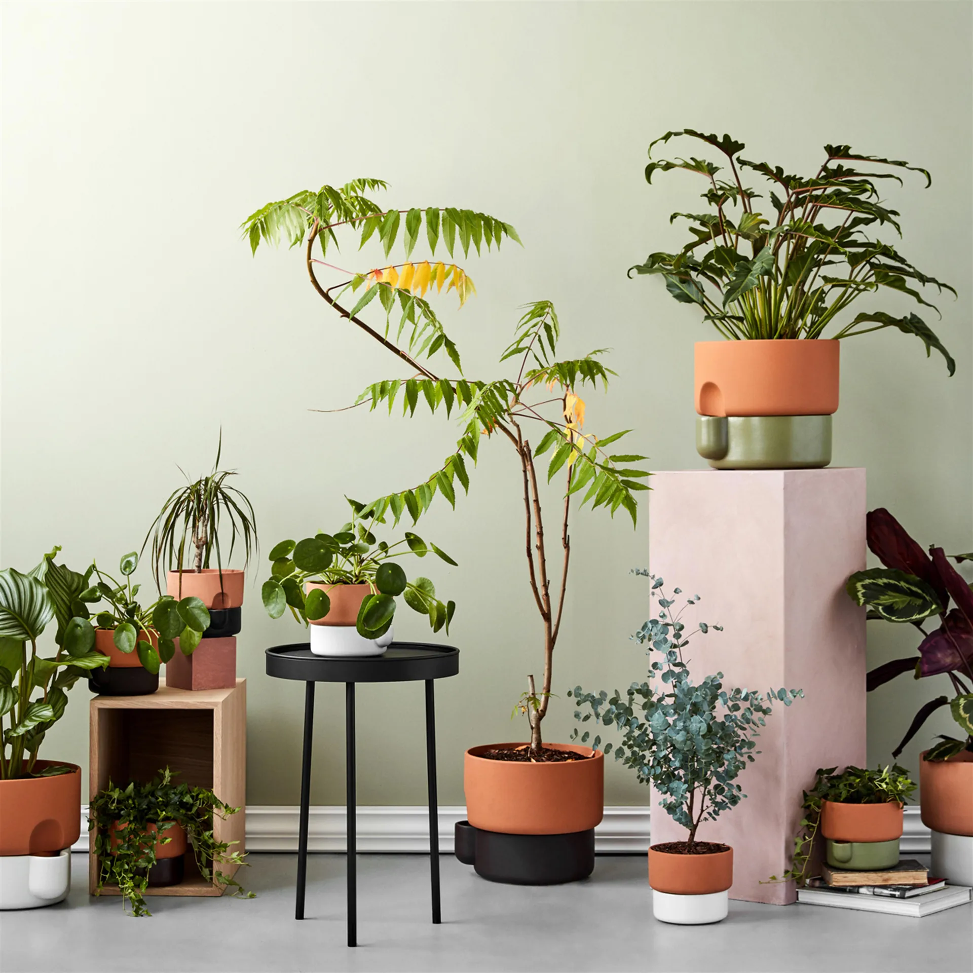 Oasis Selvvanningspotte liten Ø15 cm, grønn Northern