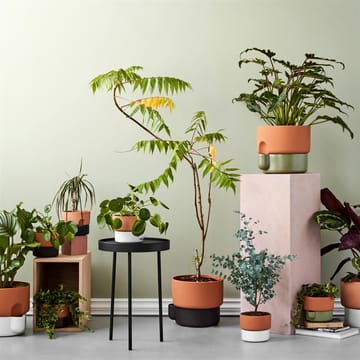 Oasis Selvvanningspotte liten Ø15 cm - grønn - Northern