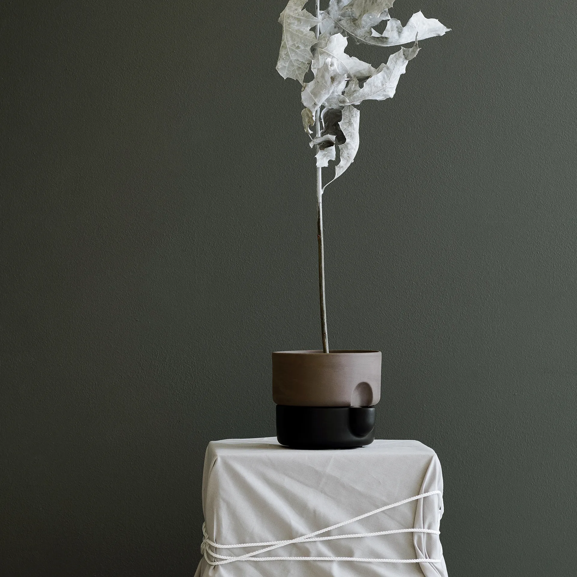 Oasis Selvvanningspotte liten Ø15 cm, Svart Northern