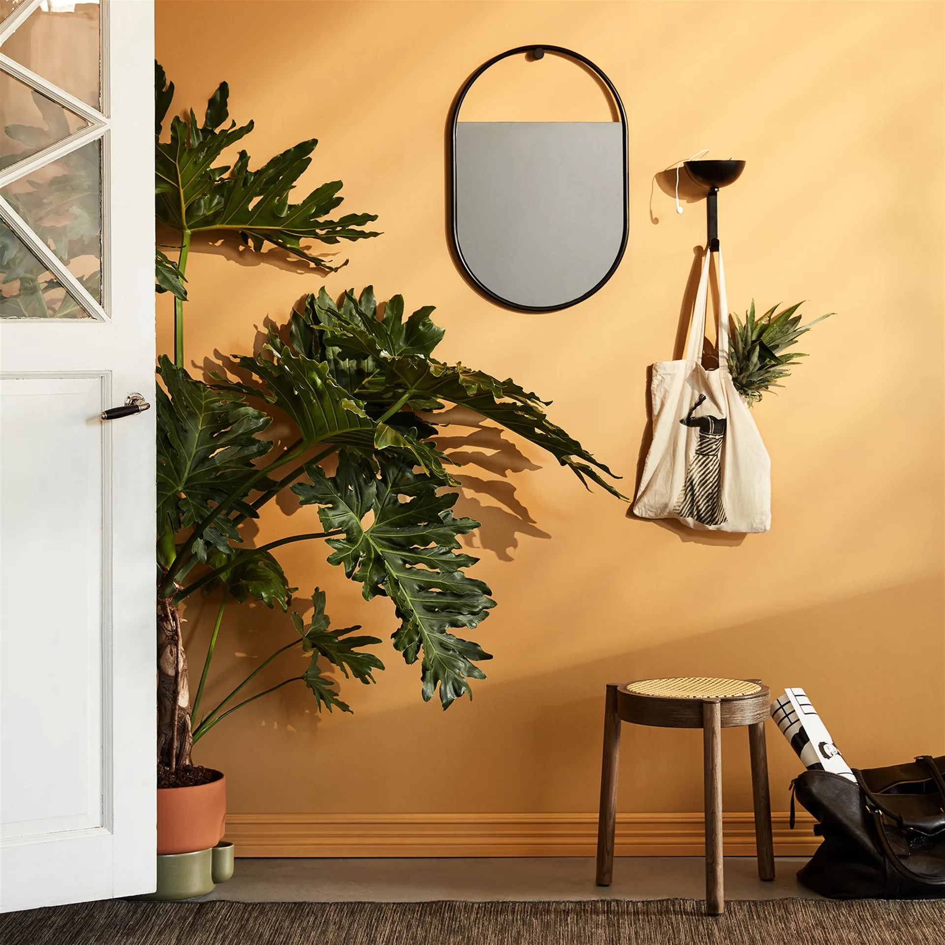 Pal krakk med rottingsete, Røkt eik Northern