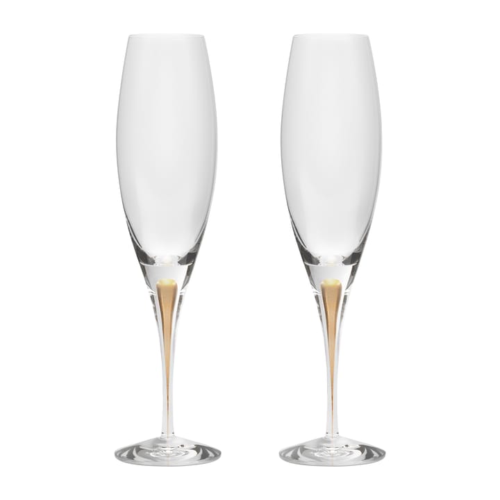 Intermezzo champagneglass 26 cl 2-pakning - Gull - Orrefors