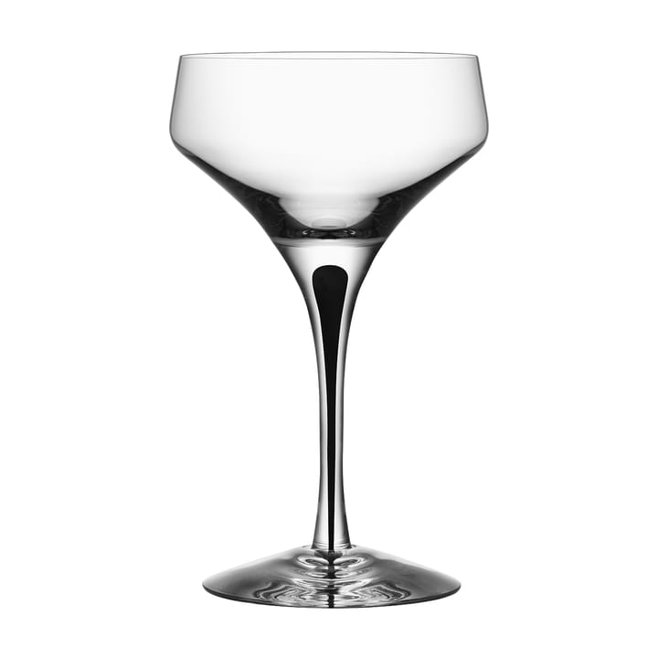 Metropol champagneglass 24 cl - Svart - Orrefors