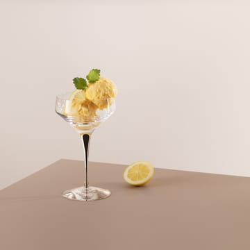 Metropol champagneglass 24 cl - Svart - Orrefors