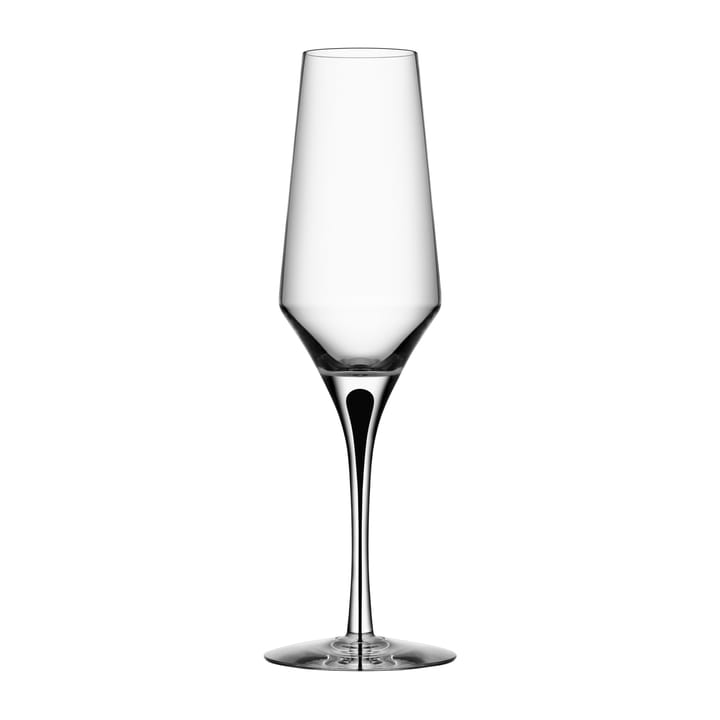 Metropol champagneglass 27 cl - Clear/Black - Orrefors