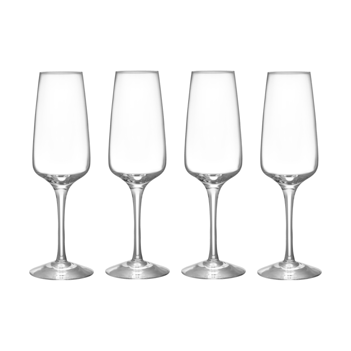 Pulse champagneglass 28 cl 4-pakning - Klar - Orrefors