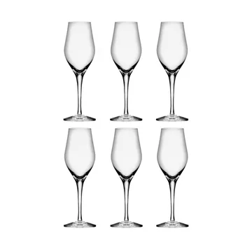 Sense champagneglass 25,5 cl 6-pakning - Klar - Orrefors