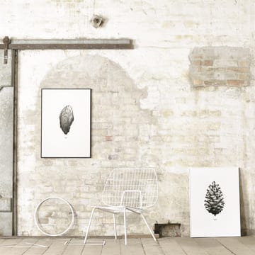 1:1 Pine Cone poster - hvit, 50x70 cm - Paper Collective